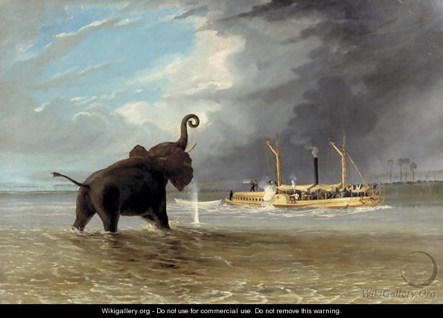 The Demise of Malawi’s Elephants: Part 2 – The Nightmare&nbsp;Years